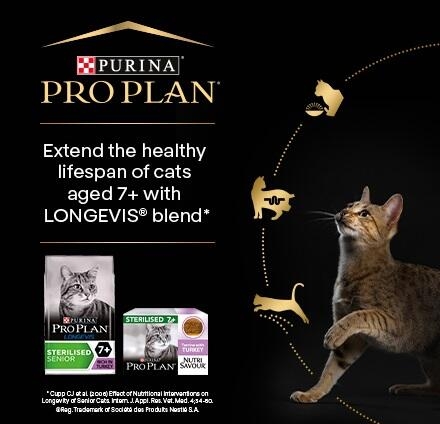 Purina cat food for senior cats hotsell